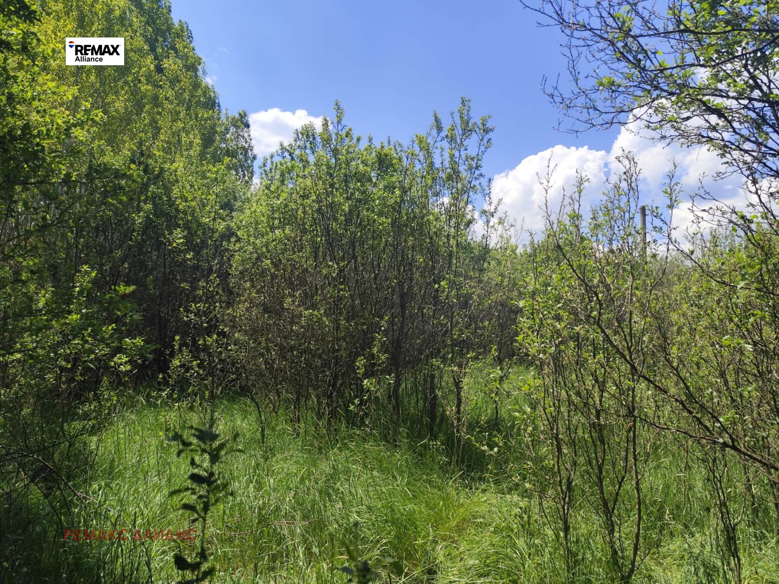 Продава ПАРЦЕЛ, с. Черна гора, област Перник, снимка 10 - Парцели - 54686298