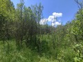 Продава ПАРЦЕЛ, с. Черна гора, област Перник, снимка 8