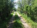 Продава ПАРЦЕЛ, с. Черна гора, област Перник, снимка 6