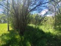 Продава ПАРЦЕЛ, с. Черна гора, област Перник, снимка 7