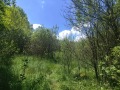 Продава ПАРЦЕЛ, с. Черна гора, област Перник, снимка 9