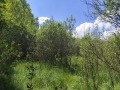 Продава ПАРЦЕЛ, с. Черна гора, област Перник, снимка 10