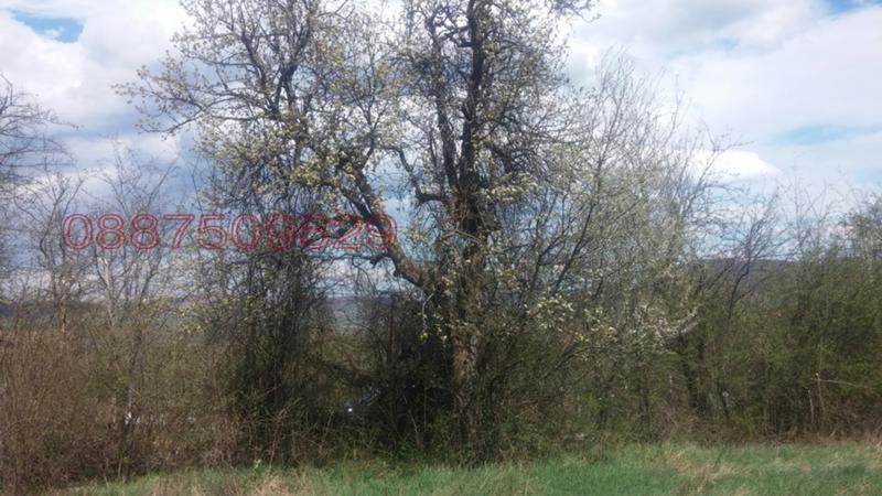 Продава  Парцел област Ловеч , с. Добревци , 700 кв.м | 12910975 - изображение [2]