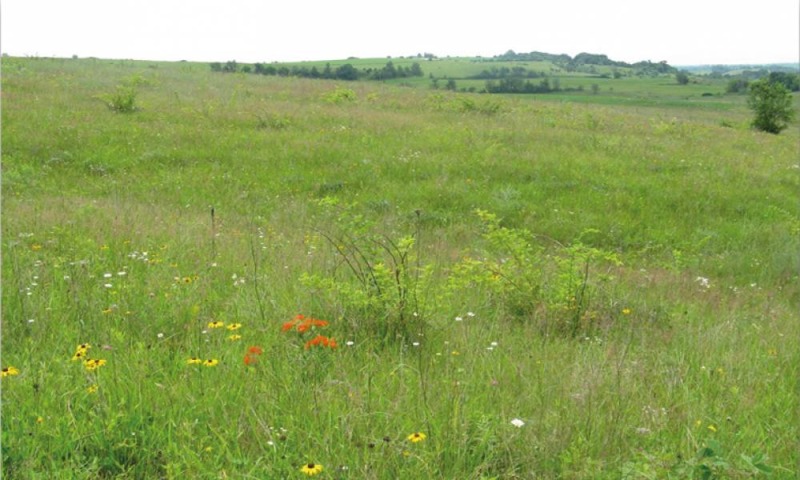 For Sale  Plot Sofia , Bankya , 1509 sq.m | 17253388