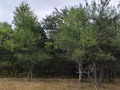 Продава ПАРЦЕЛ, област Ловеч, гр. Априлци • 62000 лв. / 31700.10 € • 85737317 5