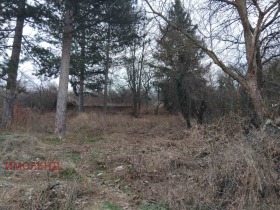 ����� ������� ������,�. �������, ������ ������