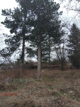 ������� ������ | Imot.bg � ����� ������ 2