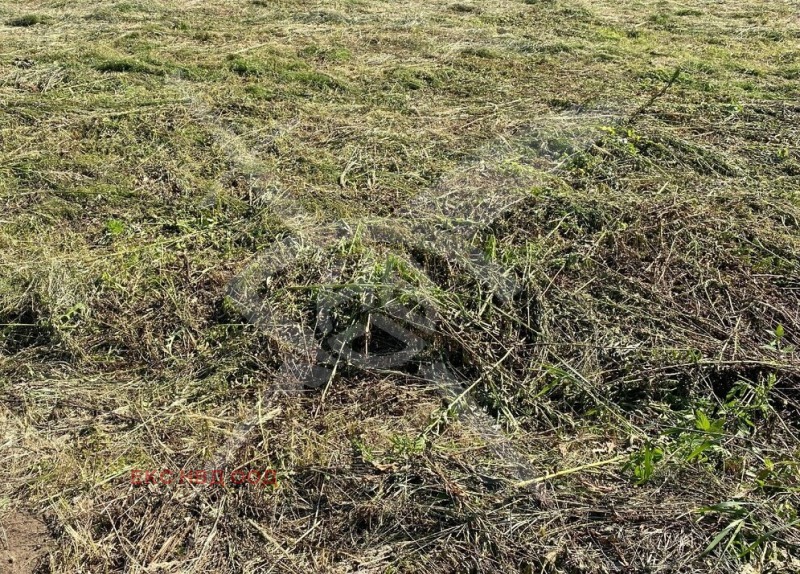 Til salgs  Plott region Plovdiv , Kostievo , 5030 kvm | 48074115