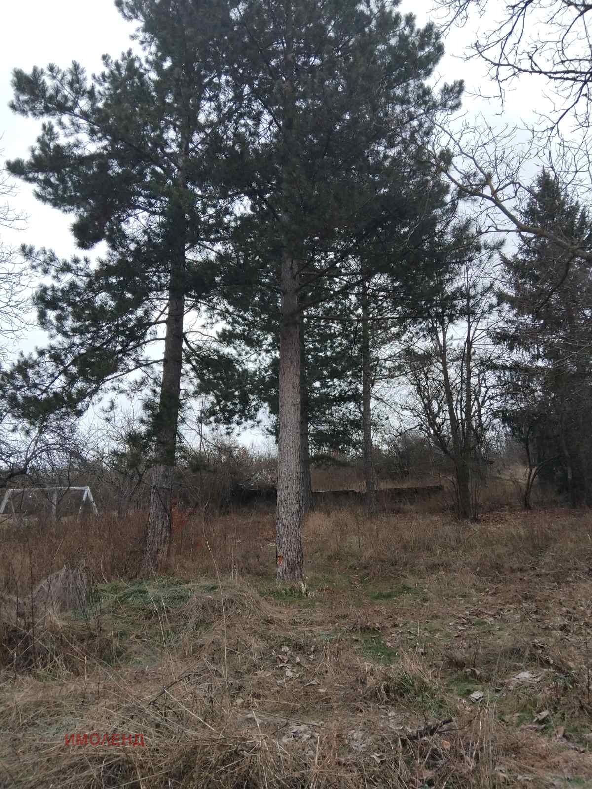 Продава ПАРЦЕЛ, с. Касилаг, област Перник, снимка 2 - Парцели - 54413425