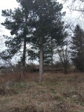 Продава ПАРЦЕЛ, с. Касилаг, област Перник, снимка 2