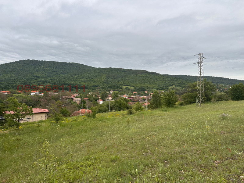 Продава ПАРЦЕЛ, с. Ново село, област Стара Загора, снимка 2 - Парцели - 52780112