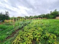 Продава КЪЩА, с. Овча могила, област Велико Търново, снимка 5