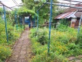 Продава  Къща област Велико Търново , с. Овча могила , 80 кв.м | 97898394 - изображение [12]