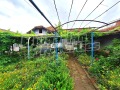 Продава  Къща област Велико Търново , с. Овча могила , 80 кв.м | 97898394 - изображение [6]