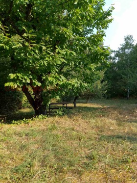 ������� ���� | Imot.bg � ����� ������ 13