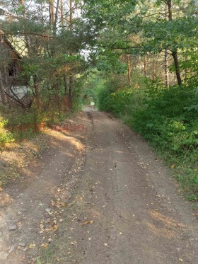 ������� ���� | Imot.bg � ����� ������ 17