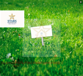 ������ ������� ������