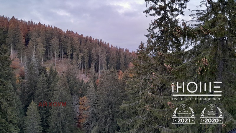 For Sale  1 bedroom region Smolyan , k.k. Pamporovo , 67 sq.m | 63573412 - image [13]