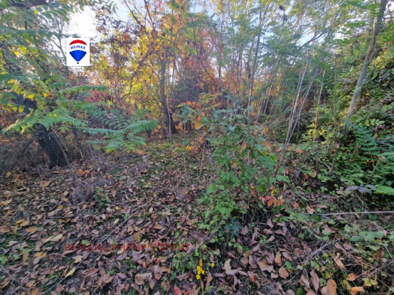 De vânzare  Casa regiunea Ruse , Pisaneț , 30 mp | 90230649 - imagine [10]