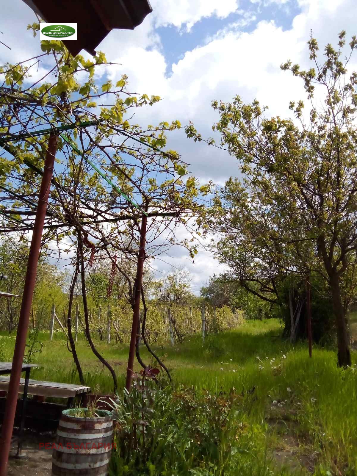 Продава КЪЩА, с. Николово, област Русе, снимка 4 - Къщи - 55013010