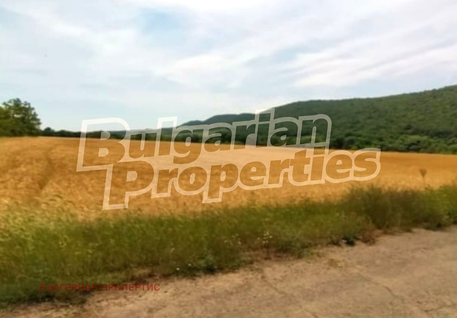 Продава ПАРЦЕЛ, с. Медово, област Бургас, снимка 6 - Парцели - 54701312