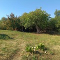 Продава КЪЩА, с. Буря, област Габрово, снимка 11