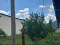 Продава ПАРЦЕЛ, гр. Велинград, област Пазарджик, снимка 4