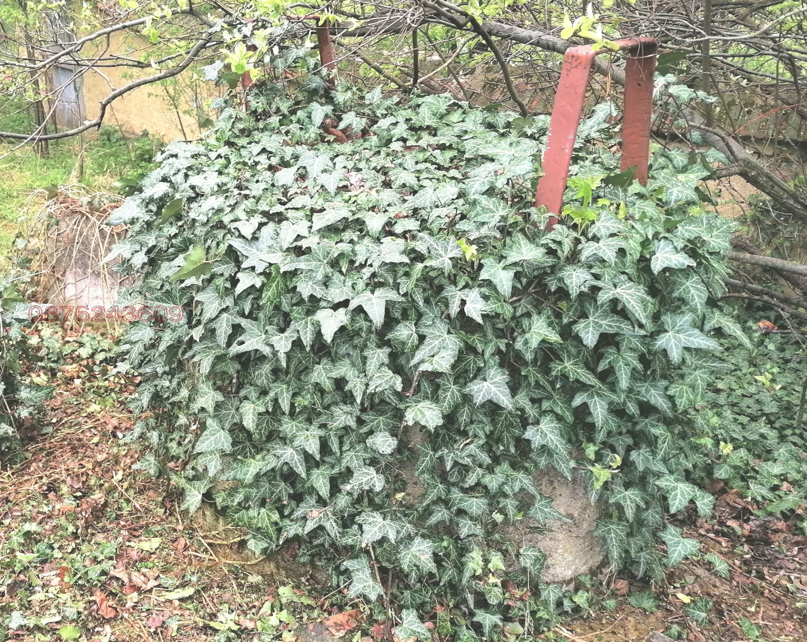 Продава КЪЩА | Imot.bg — изображение 8