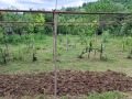 Продава ВИЛА, гр. Враца, Студентски град, снимка 6