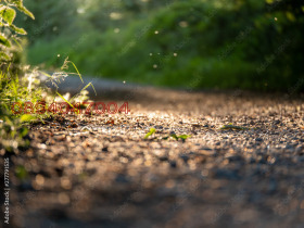 Продава ПАРЦЕЛ, гр. Варна, Център