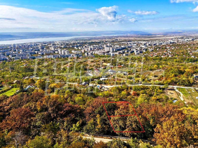 Продаја  Плот Варна , м-т Салзица , 998 м2 | 57663146 - слика [2]