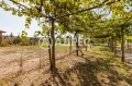 Продава КЪЩА, област Варна, гр. Долни чифлик • 138000 € • 87852136 12