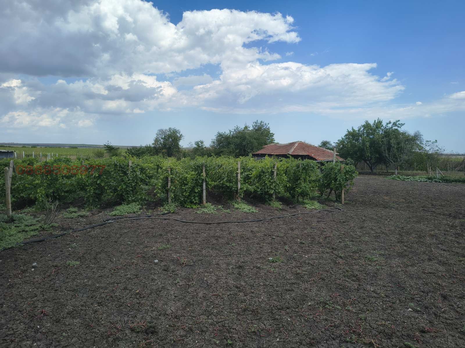 ������� ���� | Imot.bg � ����������� 4