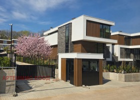 ������ ������� ����