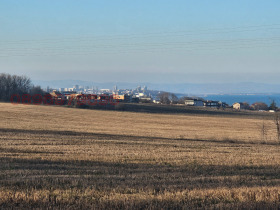 ����� ������� ������,���� ������, ���������