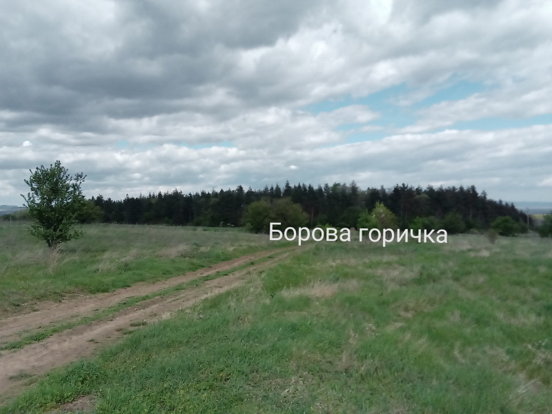 Продава  Къща област Бургас , с. Терзийско , 64 кв.м | 42297946 - изображение [7]