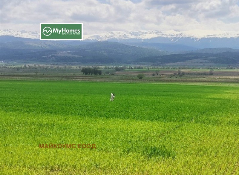 For Sale  Plot region Sofia , Alino , 5496 sq.m | 76936861 - image [3]