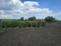 Продава КЪЩА, с. Ливада, област Бургас, снимка 4