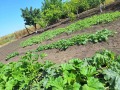 Продава КЪЩА, с. Ливада, област Бургас, снимка 5