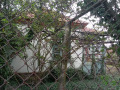 Продава КЪЩА, област Бургас, с. Терзийско • 23000 € • 63561700 — Holmes.bg