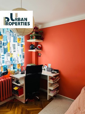 ����� ������� 3-�����,���� �����, �������