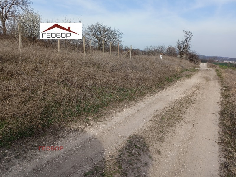Te koop  Verhaallijn regio Varna , Ignatievo , 1000 m² | 12873942 - afbeelding [4]