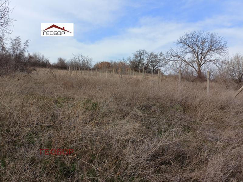 Te koop  Verhaallijn regio Varna , Ignatievo , 1000 m² | 12873942 - afbeelding [2]