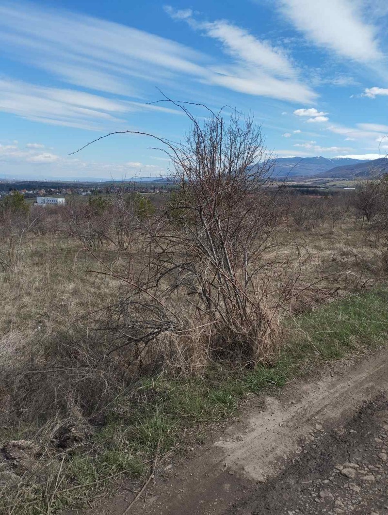 For Sale  Plot Sofia , Bankya , 4597 sq.m | 41834400 - image [8]