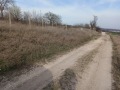 Продава ПАРЦЕЛ, област Варна, гр. Игнатиево • 17400 € • 21412737 — Holmes.bg