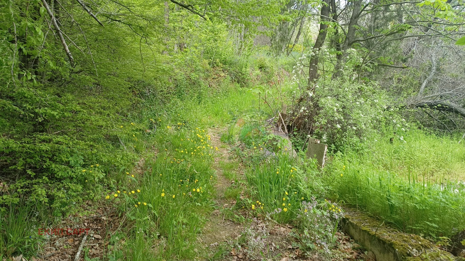 Продава ПАРЦЕЛ | Imot.bg — изображение 14