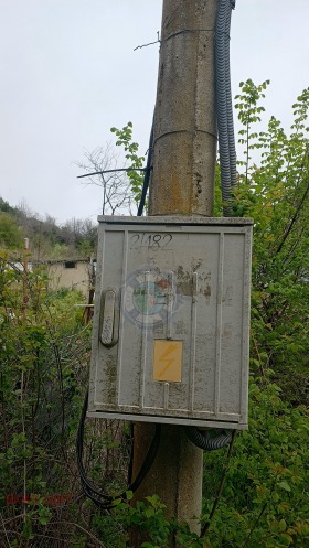 Juoni k.k. Zlatni pjasatsi, Varna 8