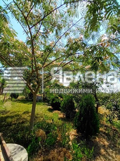 Продава КЪЩА, с. Ветрино, област Варна, снимка 8 - Къщи - 54084714