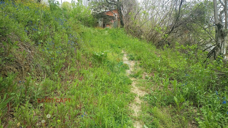 Продается  Сюжет Варна , к.к. Златни пясъци , 454 кв.м | 57317977 - изображение [10]