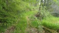 Продава ПАРЦЕЛ, град Варна, к.к. Златни пясъци • 39900 € • 40642030 — Holmes.bg